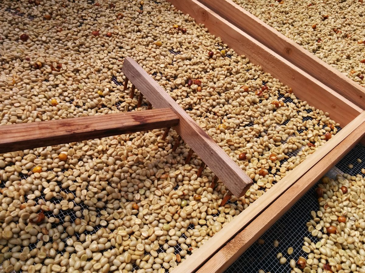 GentaraFarm Factory